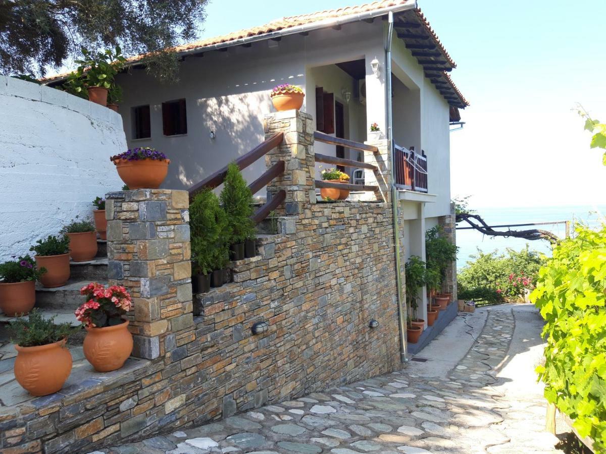 Ammos Papanero Apartment Agios Ioannis  Luaran gambar