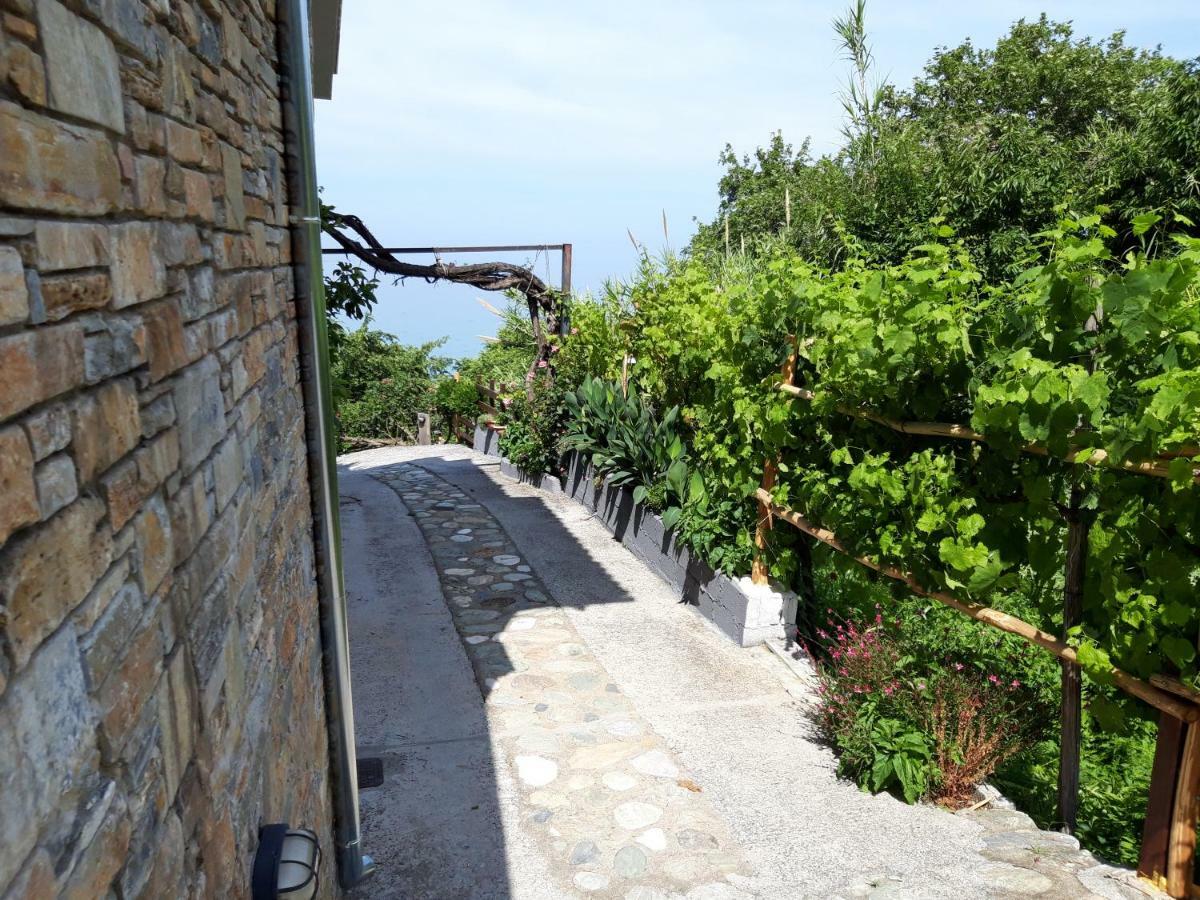 Ammos Papanero Apartment Agios Ioannis  Luaran gambar