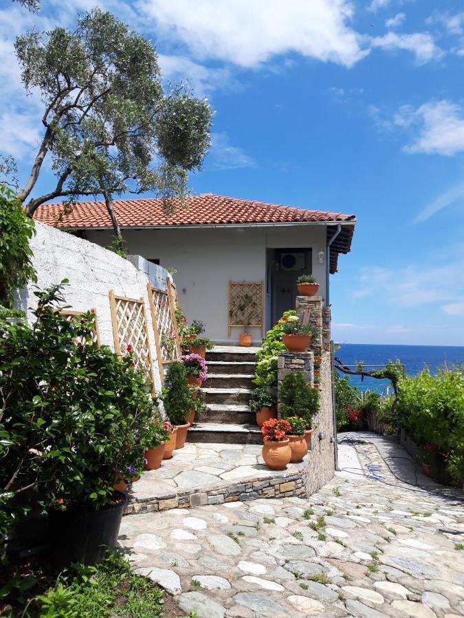 Ammos Papanero Apartment Agios Ioannis  Luaran gambar
